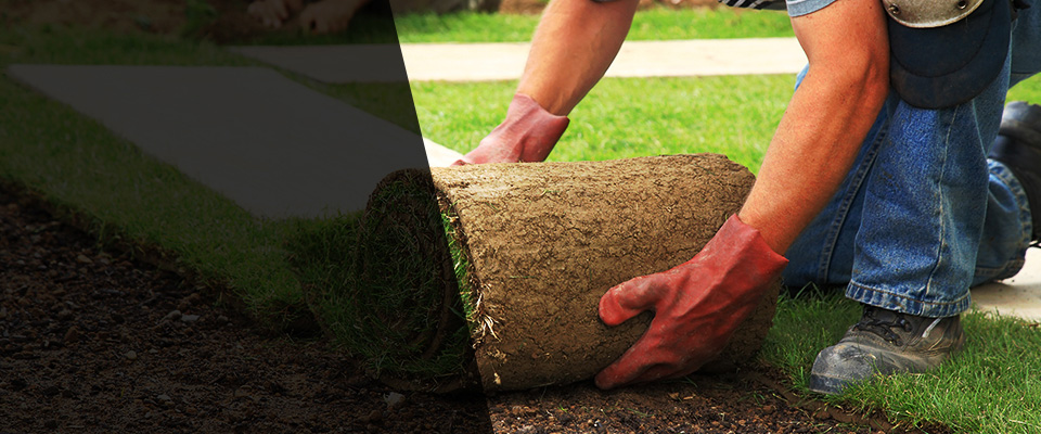 Solsberry Landscapers